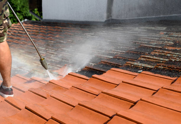 Best Local Pressure Washing Services  in West Glendive, MT