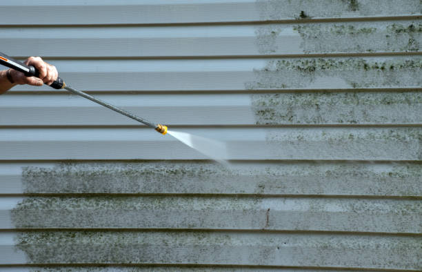 Best Affordable Pressure Washing  in West Glendive, MT